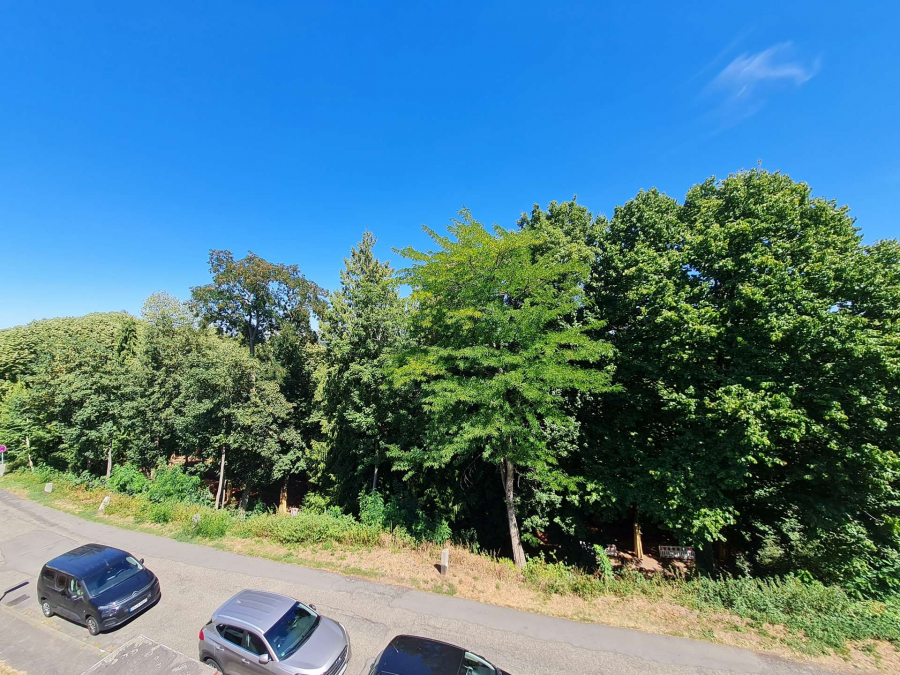 Toll geschnittene 3 Zimmer Dachgeschosswohnung am Neufferpark, 66953 Pirmasens, Dachgeschosswohnung