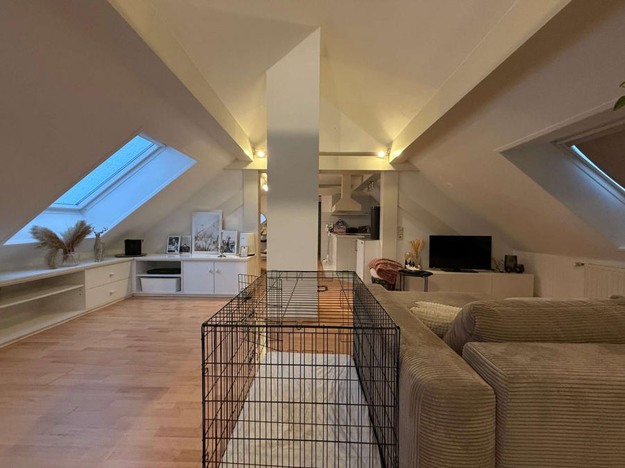 Gemütliche Dachgeschosswohnung mit offenem Wohnbereich, 66954 Gersbach, Dachgeschosswohnung
