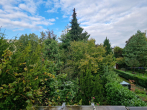 Blick in den Garten - Ihr Zuhause in Mannheim-Gartenstadt – Ruhige Lage, viel Potenzial, Erbbaugrundstück